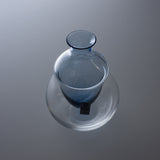 Cold Sake Carafe with Ice Packet / 冷酒カラフェ