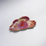 Seto ware MARUKO Sealife Dish - 7 Options / 瀬戸焼 海産物 小皿