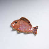 Seto ware MARUKO Sealife Dish - 7 Options / 瀬戸焼 海産物 小皿