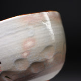 Shunzan Kiln Kyo Kiyomizu Ware Matcha Bowl - Cherry Blossom / 俊山窯 抹茶碗
