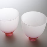 Sugahara Handmade Glassworks - DI FIORI - Pair Glass Gift Set / 菅原工芸硝子 ペアグラス