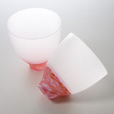 Sugahara Handmade Glassworks - DI FIORI - Pair Glass Gift Set / 菅原工芸硝子 ペアグラス