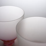 Sugahara Handmade Glassworks - DI FIORI - Pair Glass Gift Set / 菅原工芸硝子 ペアグラス