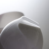 Sugahara Handmade Glassworks - Melange Pair Glass Gift Set / 菅原工芸硝子 Sghr ペアグラス