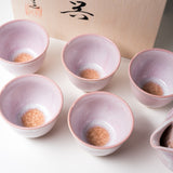 Tenryu Kiln Hagi Ware Tea Set with Wooden Box - Milky Pink / 天龍窯 茶器揃え