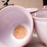 Tenryu Kiln Hagi Ware Tea Set with Wooden Box - Milky Pink / 天龍窯 茶器揃え