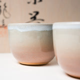 Tenryu Kiln Hagi Ware Tea Set - Tea Pot and 2 Cups / 天龍窯 茶器セット