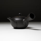 Hand-painted Tokoname Teapot - 280 ml - Flower Petals / 常滑急須