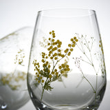 Hanafumi Pair Glass Tumbler / ミモザと霞草のペアグラス