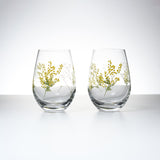 Hanafumi Pair Glass Tumbler / ミモザと霞草のペアグラス