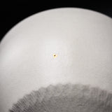 Butterfly Handmade Matcha Bowl - Option #3 / 蝶々碗 小野穣