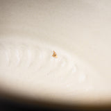 Butterfly Handmade Matcha Bowl - Option #9 / 蝶々碗 小野穣