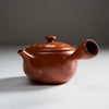 Load image into Gallery viewer, Hand-painted Tokoname Teapot - Plum - 450ml / 常滑急須