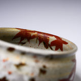 Zoho-Kiln Mug Cup - Kinsai Unkin / 蔵珍窯 マグカップ
