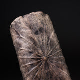 USUKI Ware Handmade Lotus Leaf Tea Holder - Black / 臼杵焼