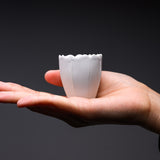 USUKI Ware Handmade Tea Cup - Ryoka D  / 臼杵焼