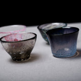 Assort Sake Glass Set of 4 - Fish of Aomori / 津軽びいどろ 酒器セット